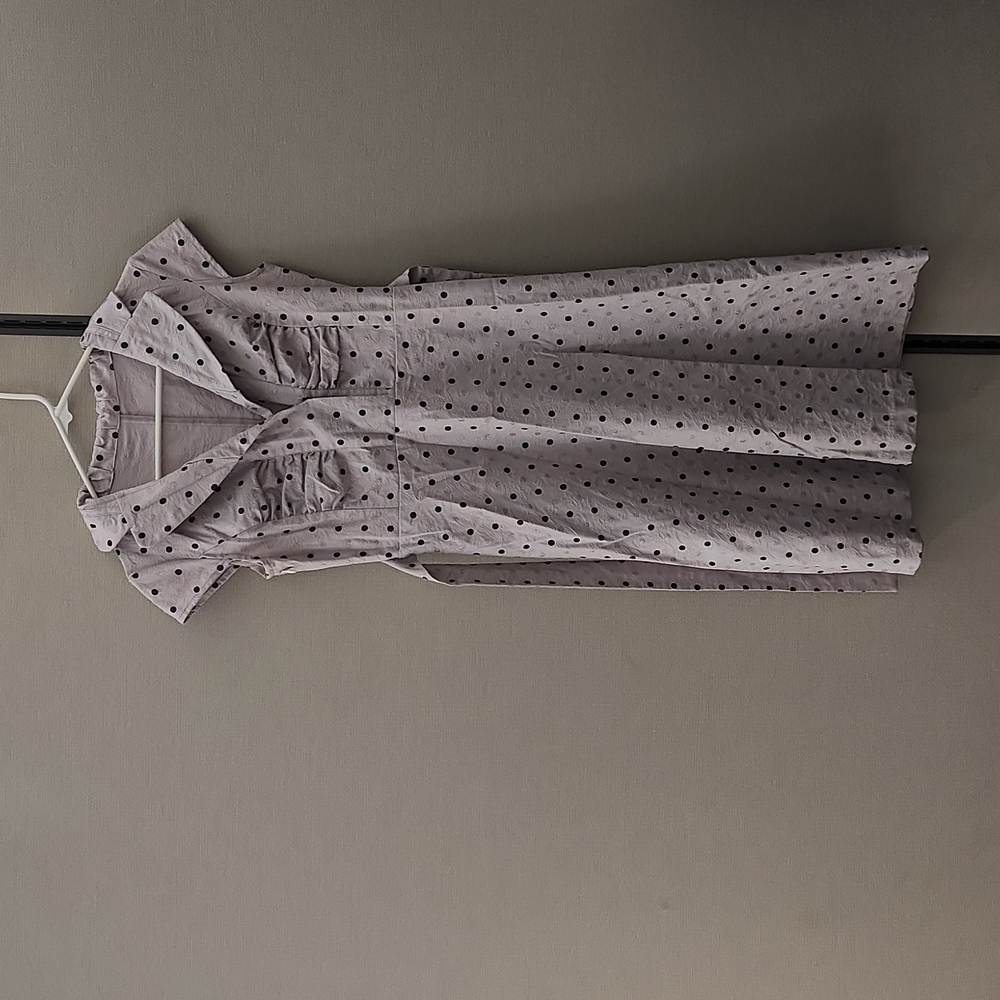 An Ren Polka Dot Dress Size Small